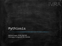Swamp Cancer-The Imaging of Pythiosis