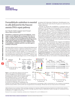 Formaldehyde Catabolism Is Essential in Cells Deficient for the Fanconi