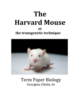 10 Harvard Mouse