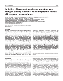 Inhibition of Basement Membrane Formation by a Nidogen-Binding Laminin Γ1-Chain Fragment in Human Skin-Organotypic Cocultures