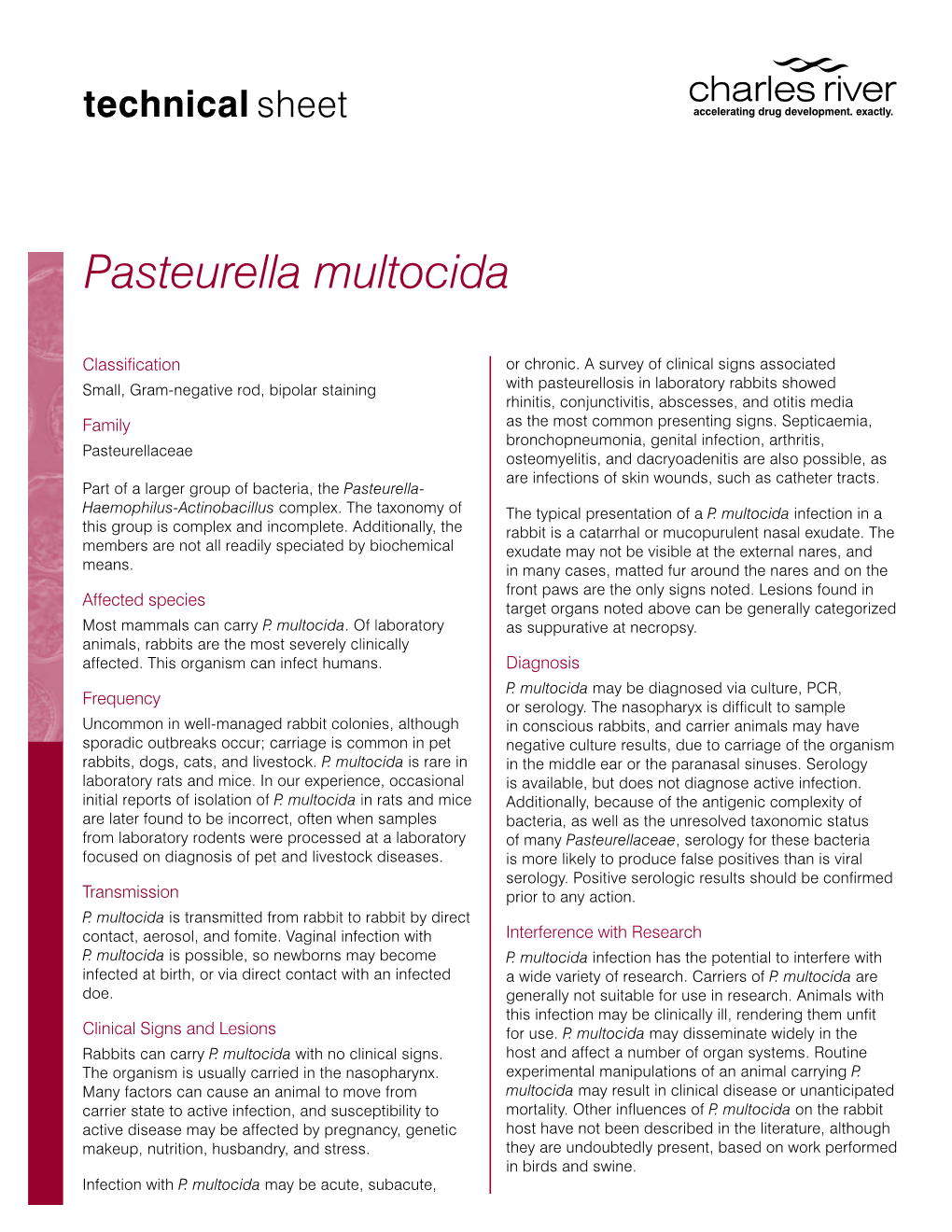 Pasteurella Multocida