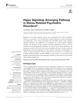 Hippo Signaling: Emerging Pathway in Stress-Related Psychiatric Disorders?