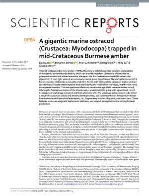 A Gigantic Marine Ostracod (Crustacea: Myodocopa) Trapped in Mid-Cretaceous Burmese Amber Received: 16 November 2017 Lida Xing 1,2, Benjamin Sames 3,4, Ryan C