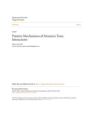 Putative Mechanisms of Atrazine's Toxic Interactions Allison Schmidt Clemson University, Allison.Schmidt62@Gmail.Com