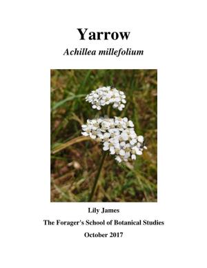 Yarrow: Achillea Millefolium � Territory and Personal Boundaries
