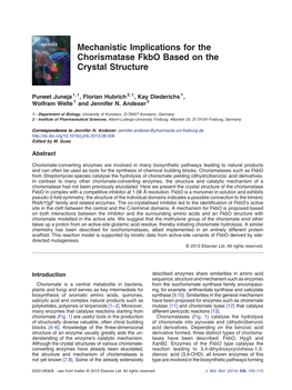 Mechanistic Implications for the Chorismatase Fkbo Based on the Crystal Structure