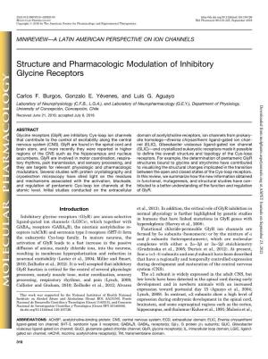 Structure and Pharmacologic Modulation of Inhibitory Glycine Receptors