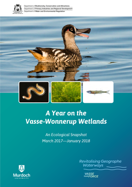 A Year on the Vasse-Wonnerup Wetlands