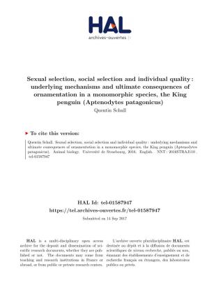 Sexual Selection, Social Selection and Individual Quality