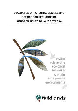 Evaluation of Potential Engineering Options for Reduction of Nitrogen Inputs to Lake Rotorua