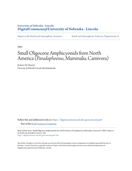 Small Oligocene Amphicyonids from North America (Paradaphoenus, Mammalia, Carnivora) Robert M