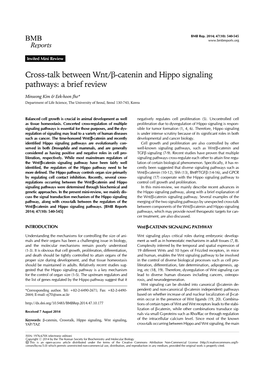 Cross-Talk Between Wnt/Β-Catenin and Hippo Signaling Pathways: a Brief Review