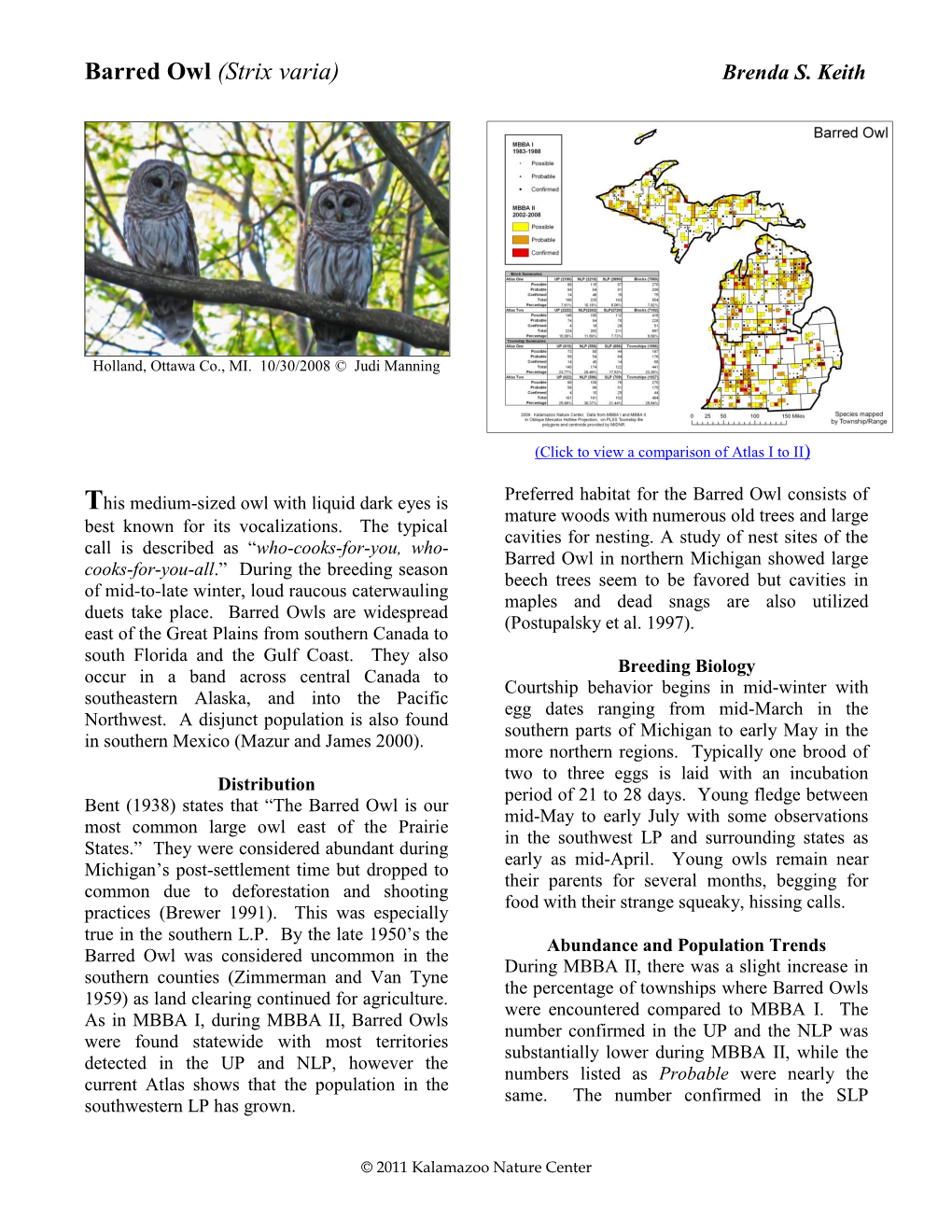 Barred Owl (Strix Varia) Brenda S