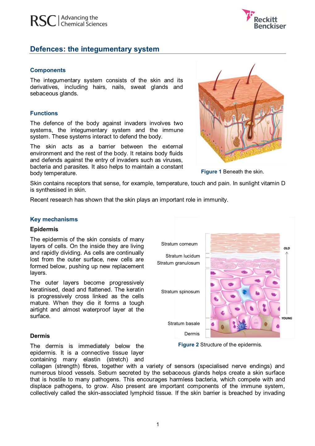 Defences: the Integumentary System