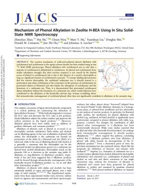 Mechanism of Phenol Alkylation in Zeolite H-BEA Using in Situ