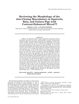 Reviewing the Morphology of the Jawclosing Musculature In