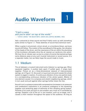 Audio Waveform 1
