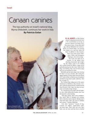 Canaan Canines the Top Authority on Israel’S National Dog, Myrna Shiboleth, Continues Her Work in Italy by Patricia Golan