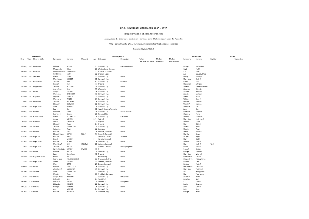 Usa, Michigan Marriages 1865