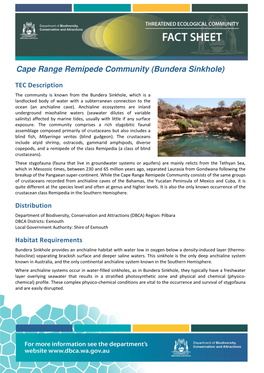 Cape Range Remipede Community (Bundera Sinkhole)