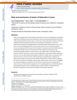 Role and Mechanism of Action of Sclerostin in Bone