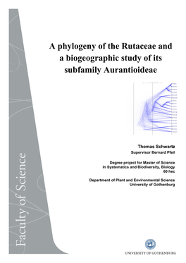 A Phylogeny of the Rutaceae and a Biogeographic Study of Its Subfamily Aurantioideae