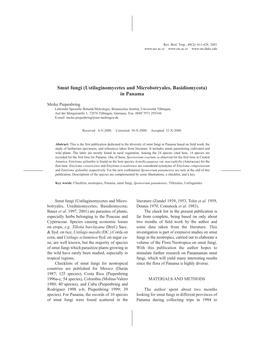 Smut Fungi (Ustilaginomycetes and Microbotryales, Basidiomycota) in Panama