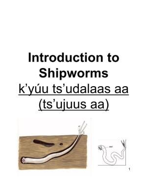 Introduction to Shipworms K’Yúu Ts’Udalaas Aa (Ts’Ujuus Aa)