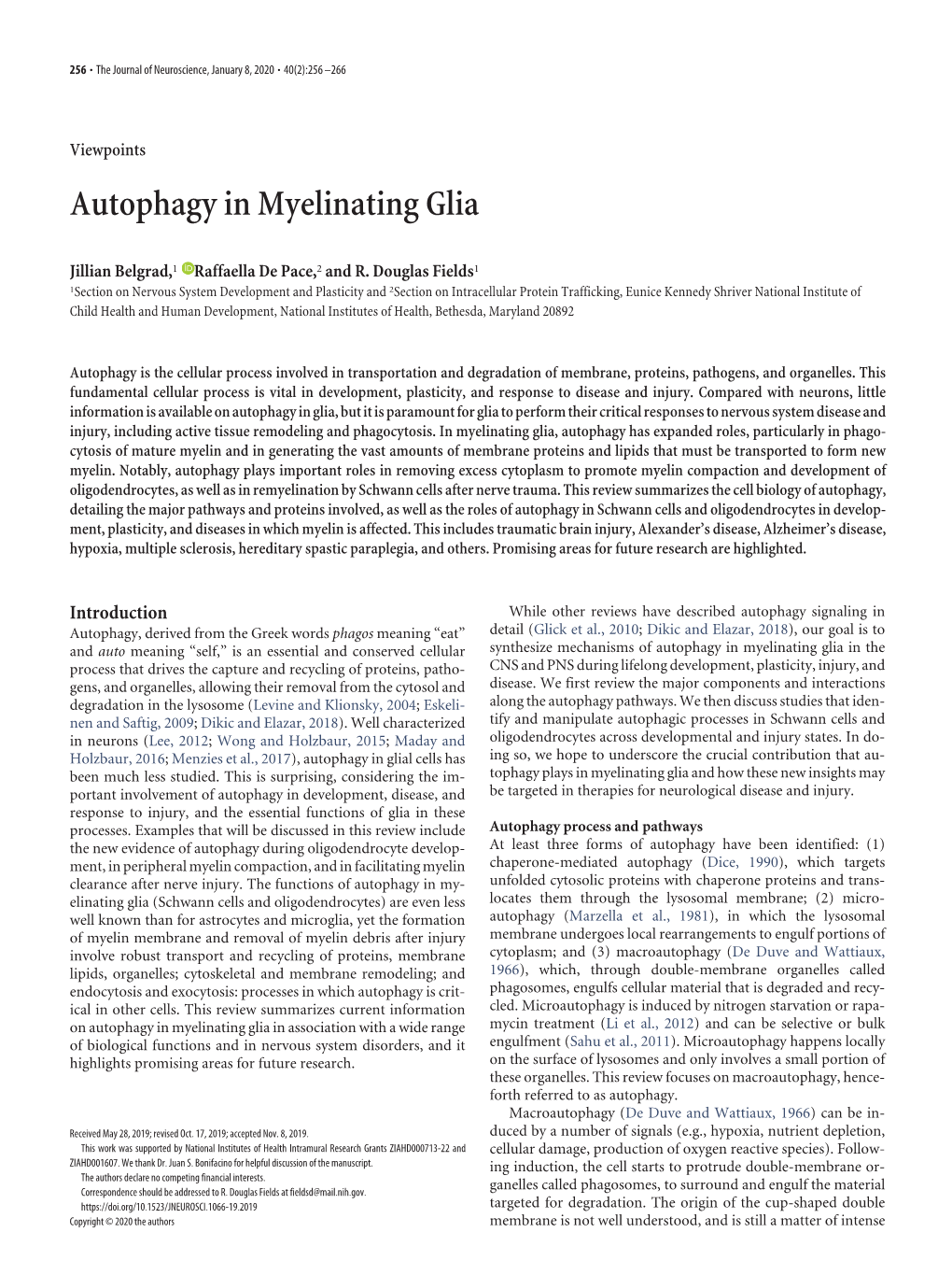 Autophagy in Myelinating Glia