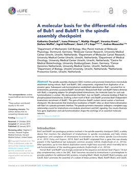 A Molecular Basis for the Differential Roles of Bub1 and Bubr1 In