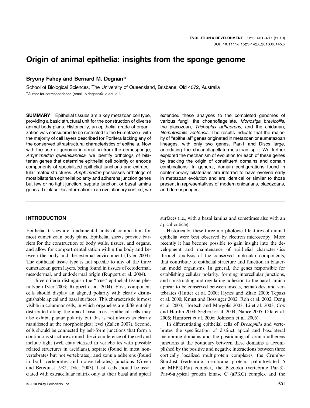 Origin of Animal Epithelia: Insights from the Sponge Genome