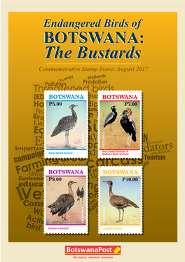 The Bustards the Bustards