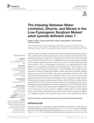 The Interplay Between Water Limitation, Dhurrin, and Nitrate in the Low-Cyanogenic Sorghum Mutant Adult Cyanide Deficient Class 1