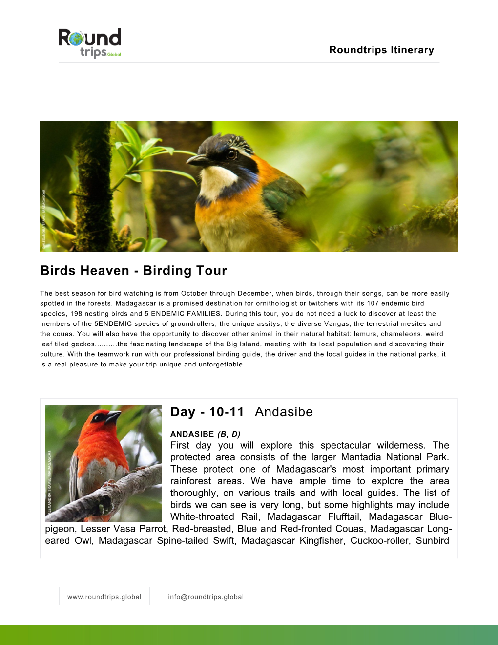 Birds Heaven - Birding Tour