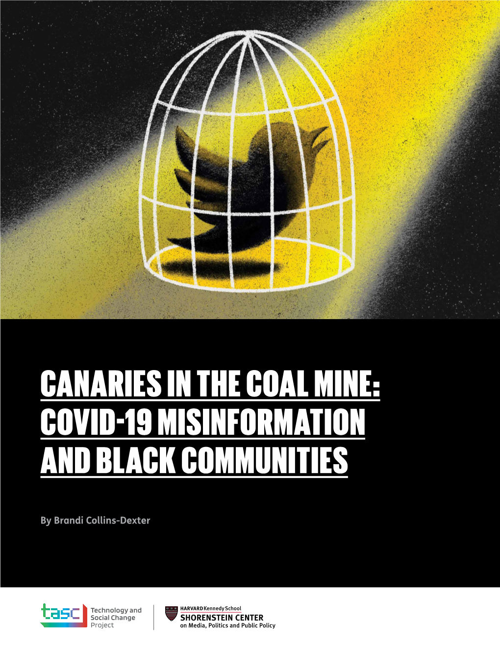 Canaries in the Coal Mine: Covid-19 Misinformation and Black Communities