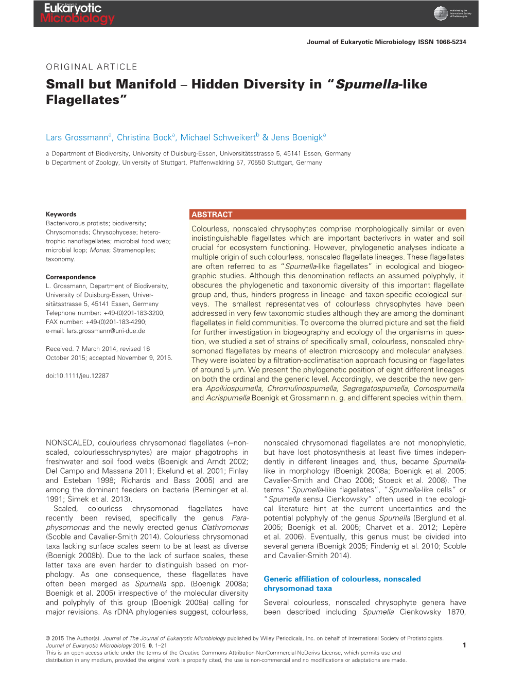 Small but Manifold – Hidden Diversity in “