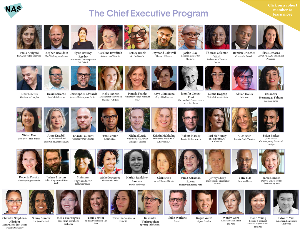 The Chief Executive Program Learn More