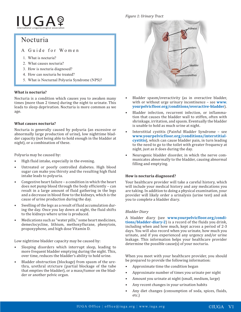 Nocturia a Guide for Women 1