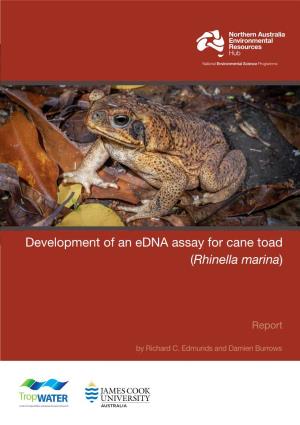 Development of an Edna Assay for Cane Toad (Rhinella Marina)