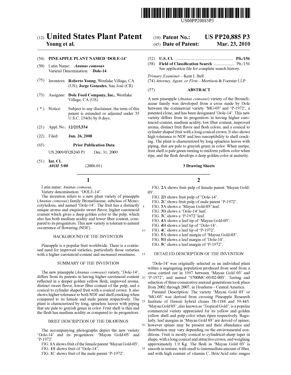 (12) United States Plant Patent (10) Patent No.: US PP20,885 P3 Young Et Al