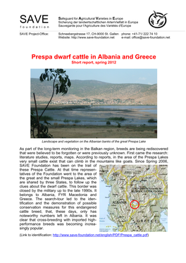 Prespa Dwarf Cattle in Albania and Greece Short Report, Spring 2012