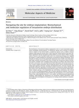 Navigating the Site for Embryo Implantation