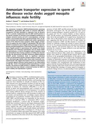 Ammonium Transporter Expression in Sperm of the Disease Vector Aedes Aegypti Mosquito Influences Male Fertility