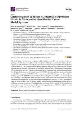 Characterization of Histone Deacetylase Expression Within in Vitro and in Vivo Bladder Cancer Model Systems