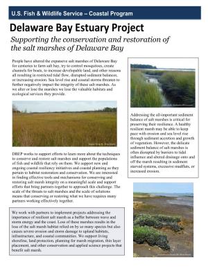 Delaware Bay Estuary Project Supporting the Conservation and Restoration Of