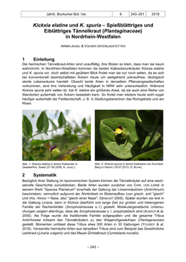 Kickxia Elatine Und K. Spuria – Spießblättriges Und Eiblättriges Tännelkraut (Plantaginaceae) in Nordrhein-Westfalen