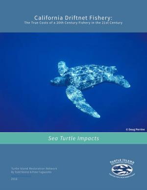 Leatherback Sea Turtles P