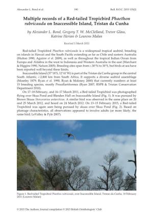 Multiple Records of a Red-Tailed Tropicbird Phaethon Rubricauda on Inaccessible Island, Tristan Da Cunha