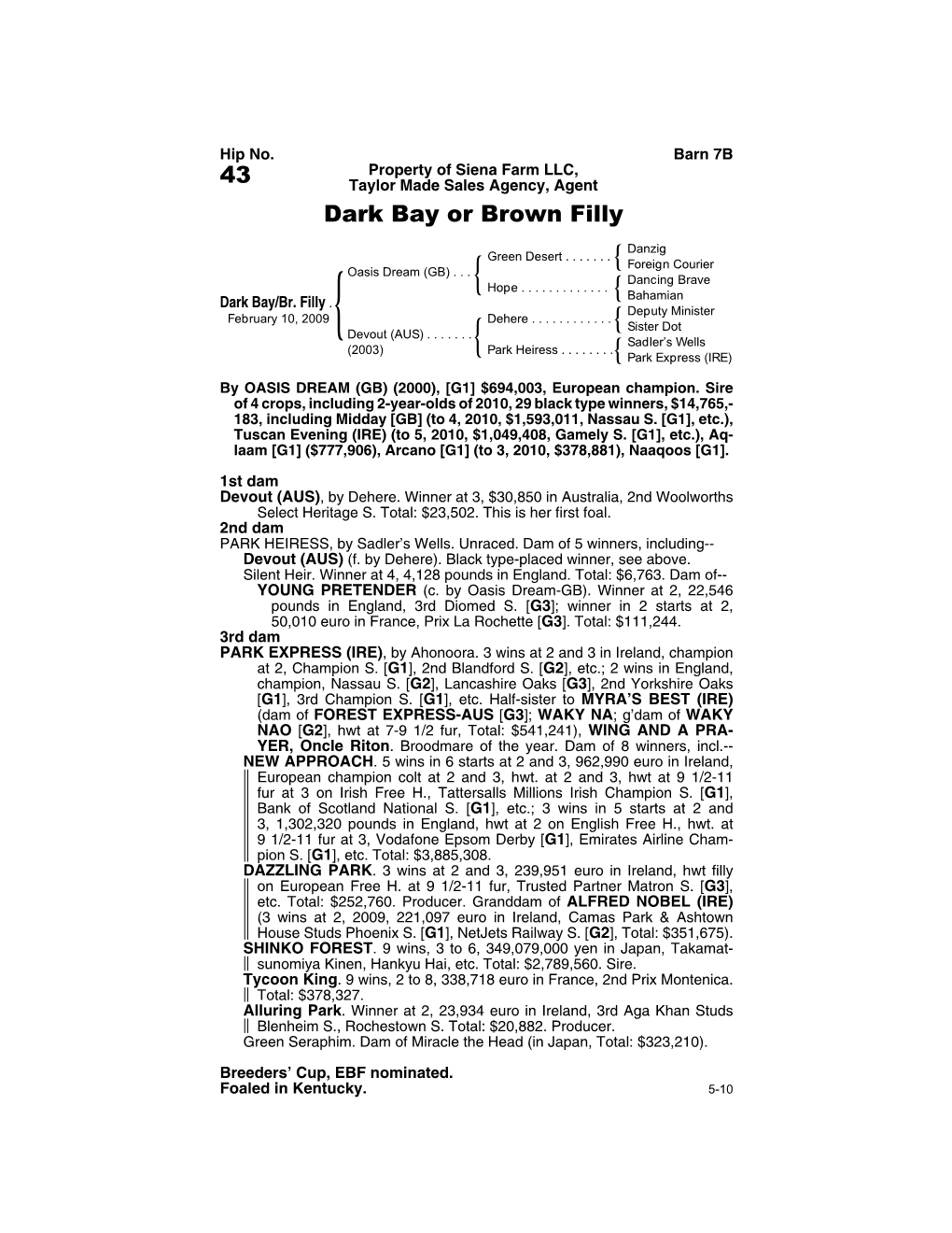 43 Taylor Made Sales Agency, Agent Dark Bay Or Brown Filly