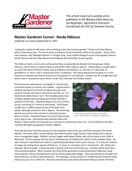 Master Gardener Corner: Hardy Hibiscus Originally Run Week of September 5, 2017
